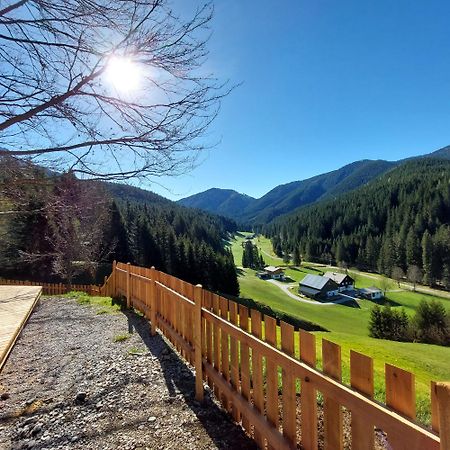 Villa Huette Neuhaus Annaberg im Lammertal Exterior foto