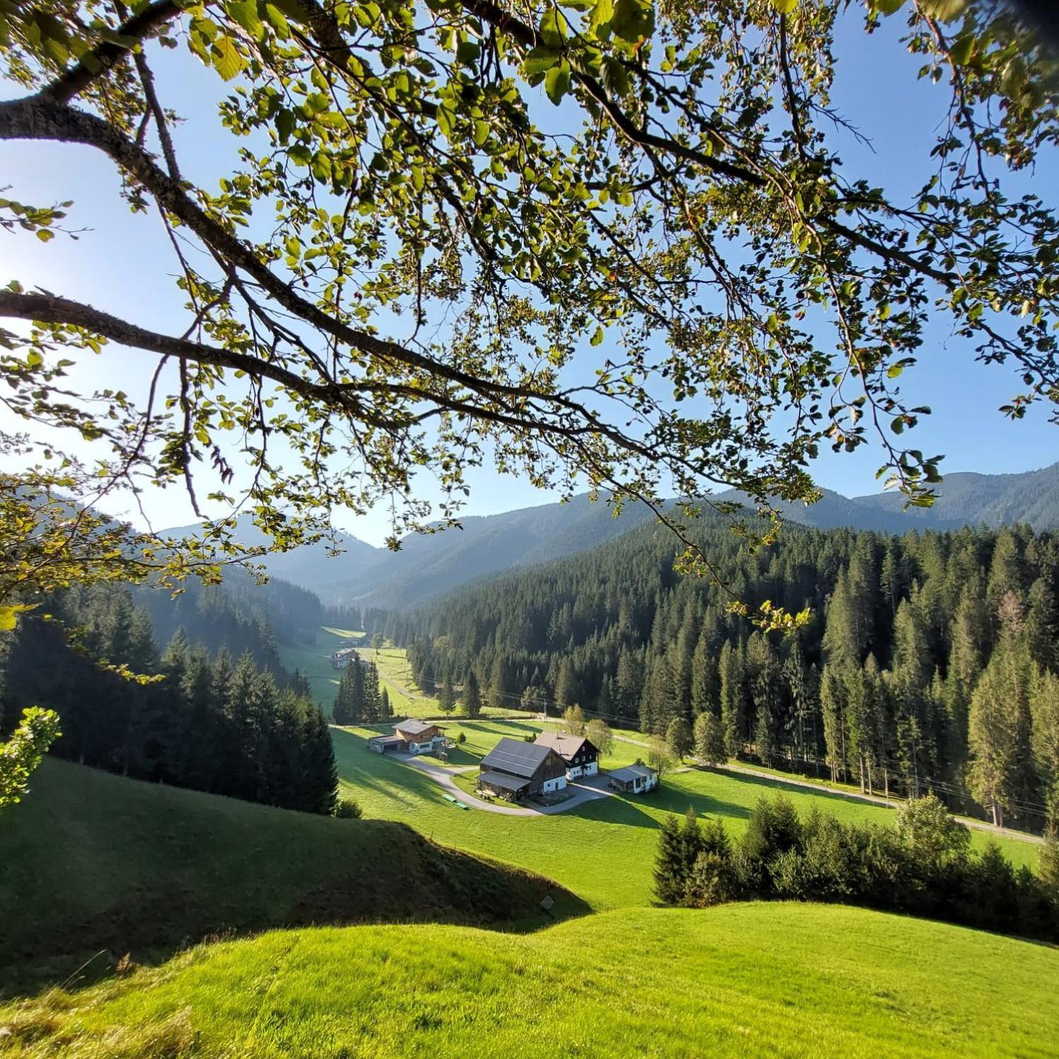 Villa Huette Neuhaus Annaberg im Lammertal Exterior foto